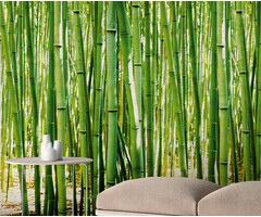 Mural Bamboo 159x280cm