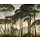 Mural Historical Landscape 159x280cm
