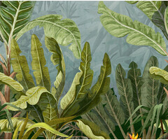Mural Parrot Jungle 159x280cm