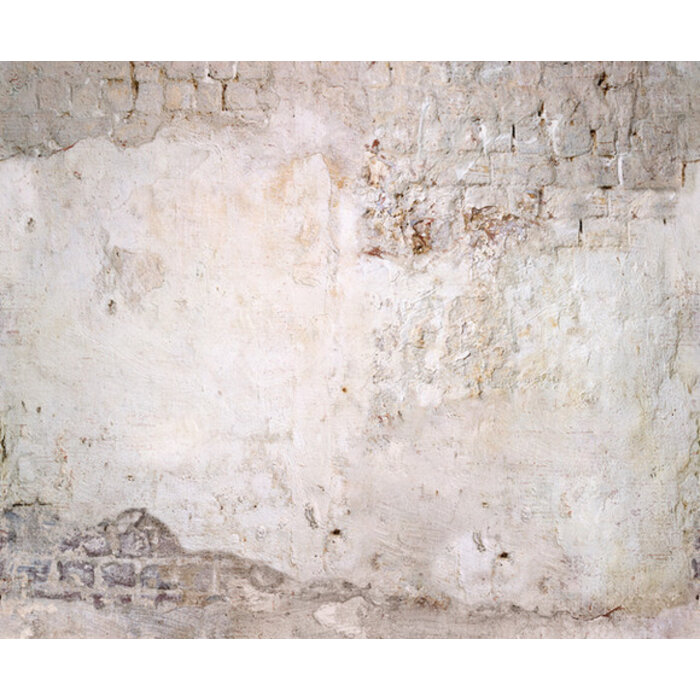 Mural Stable Brick 159x280cm