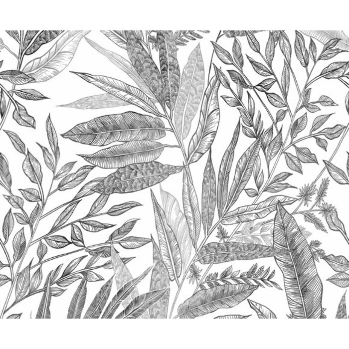 Mural Branca 159x280cm