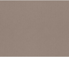 Elements - uni Cinnamon 77017