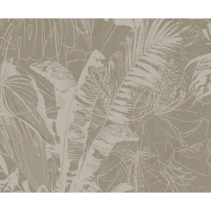 Panthera - Bisheh beige PH49301