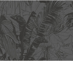 Panthera - Bisheh grijs PH49303