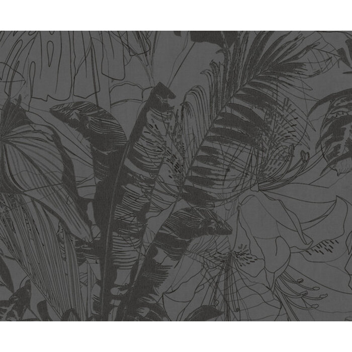 Panthera - Bisheh grijs PH49303