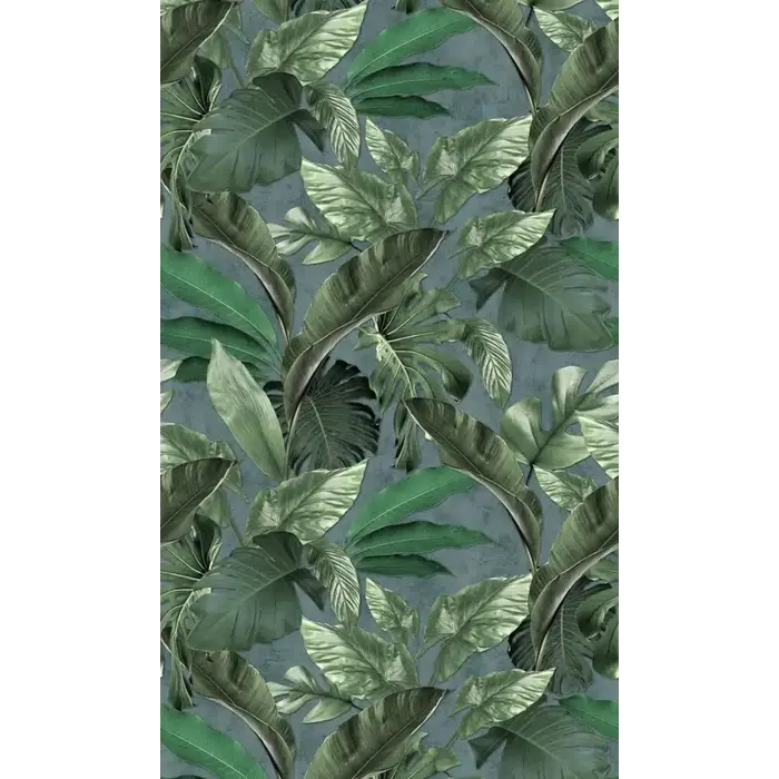 Fotobehang met grote bladeren en monstera print 34199