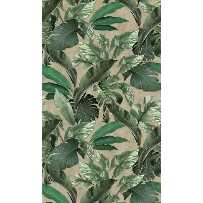 Fotobehang met grote bladeren en monstera print 34198