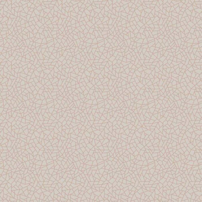 Behang met geometrische lijnen W78195
