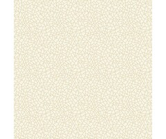 Behang met geometrische lijnen W78194