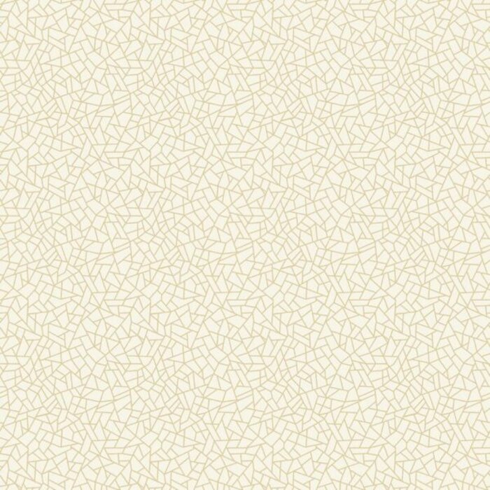Behang met geometrische lijnen W78194