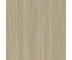 Behang met grote gouden strepen W78188