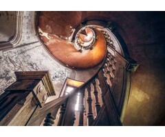 Fotobehang Oak Spiral SHX8-165