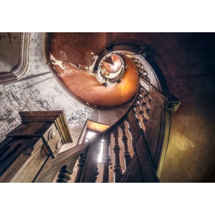 Fotobehang Oak Spiral SHX8-165