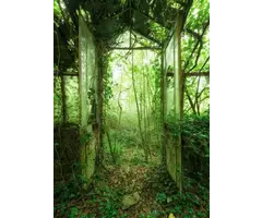 Fotobehang Greenhouse SHX4-158