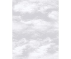 Behang met wolken G56532