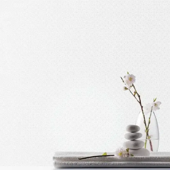 Behang met ruitjesprint G56653