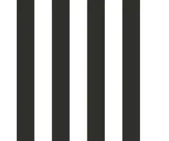 Behang met zwart-witte strepen G67521