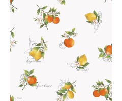 Behang met citrusvruchten G45412