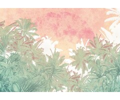 Fotobehang Palmiers HX8-054