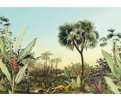 Fotobehang Oasis HX7-050