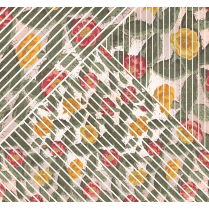 Fotobehang Cactus HX6-042