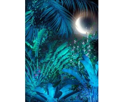 Fotobehang Intense HX4-036