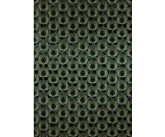 Fotobehang Paon Vert HX4-034