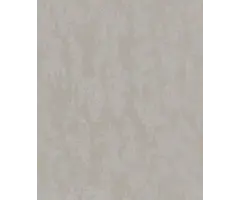 Warm zilver metallic behang met structuur 34274