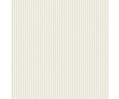 Behang met strepen G67929