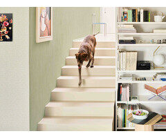 BN The Marker behang Solid 221207