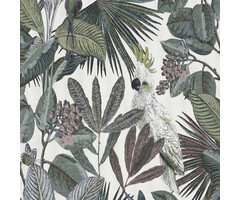 BN Panthera behang 220125