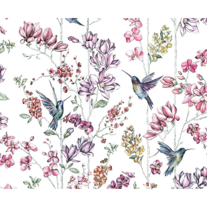 Imaginarium 2 - kolibri wit/lila/roze 12390