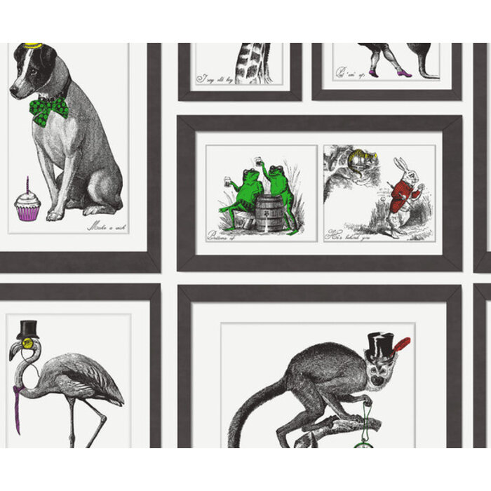 Imaginarium 2 - Mad Dogs multicolor 97921