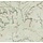 BN Van Gogh behang 17141 Almond Blossom
