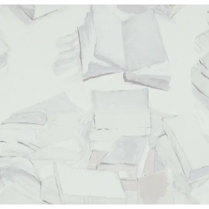 BN Van Gogh behang 17191 Piles of French Novels