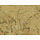 Van Gogh 3 – 221551