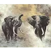 Fotobehang aquarel olifanten 33100