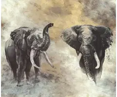 Fotobehang aquarel olifanten 33100