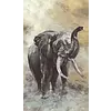 Fotobehang aquarel olifant 33099