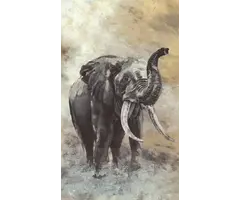 Fotobehang aquarel olifant 33099