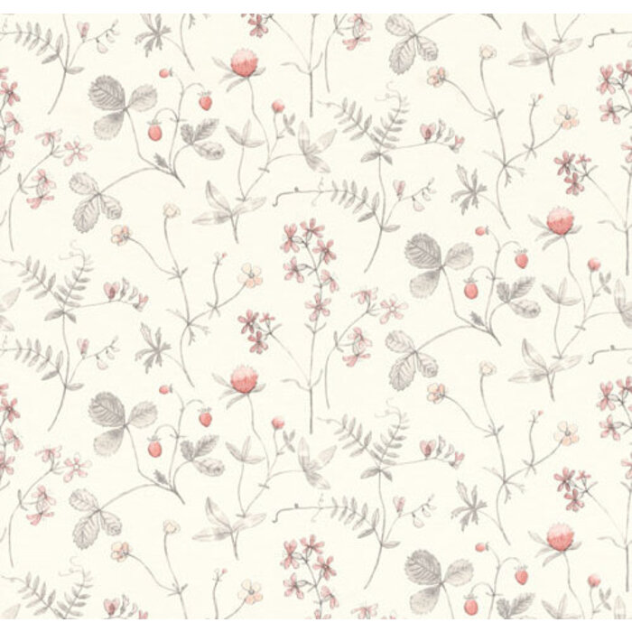 Morgongava - Julia Grey