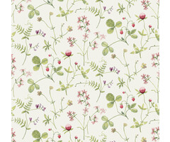 Morgongava - Julia Green