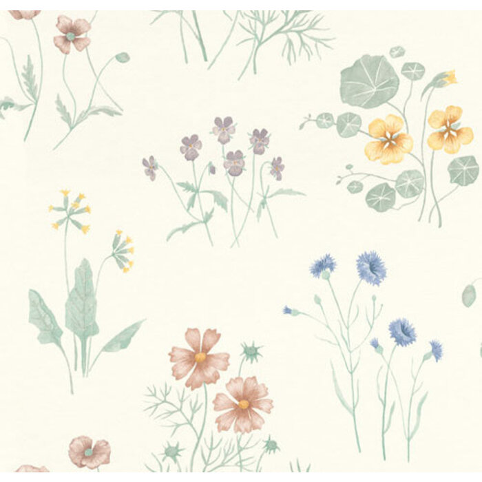 Morgongava - Maj White