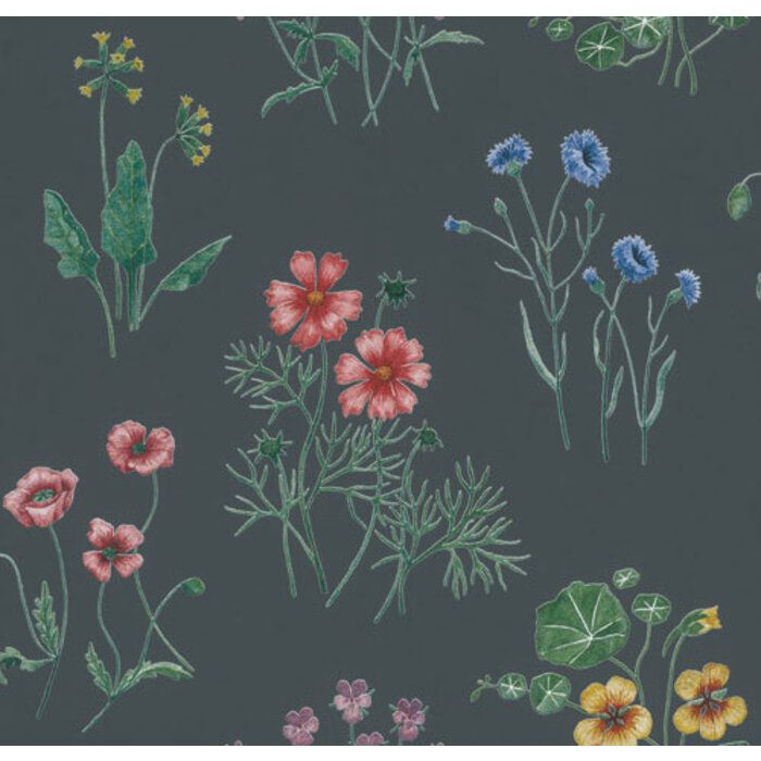 Morgongava - Maj Blue