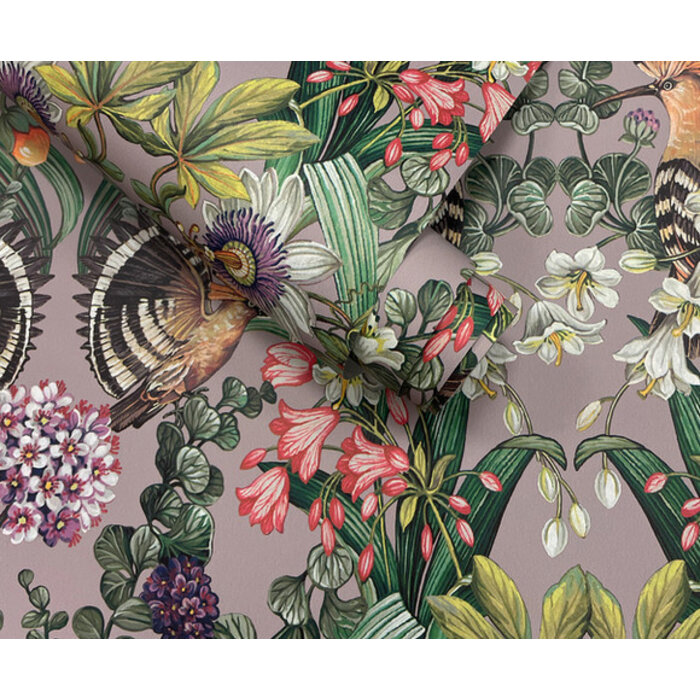 Xanadu - Marimo Heather