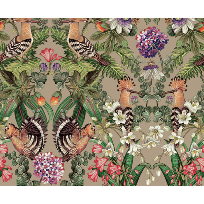 Xanadu - Marimo Champagne