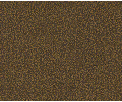 Thom - uni zwart/goud