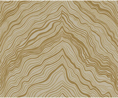 Thom - dessin beige/goud