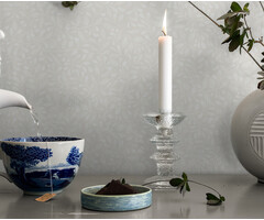 Langenas - Adam White