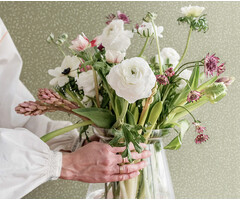 Langenas - Adam Olive green